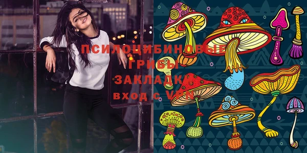 шишки Нязепетровск