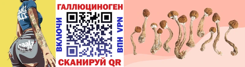 Галлюциногенные грибы Psilocybine cubensis  Купить где  Нефтеюганск 